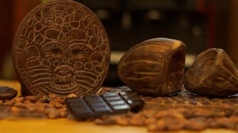 Boosting Your Immunity with Magic Chocolate